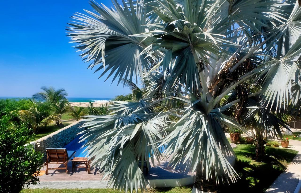 Aparthotel Casapiedra à Puerto Escondido  Extérieur photo